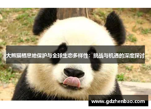 大熊猫栖息地保护与全球生态多样性：挑战与机遇的深度探讨
