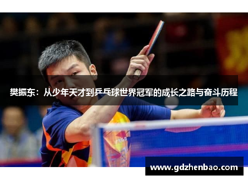 樊振东：从少年天才到乒乓球世界冠军的成长之路与奋斗历程